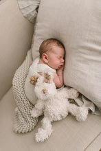 Load image into Gallery viewer, Buddy the Pup