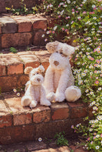 Load image into Gallery viewer, Buddy the Pup