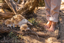 Load image into Gallery viewer, Spike the Echidna