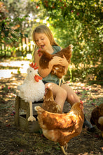 Load image into Gallery viewer, Roy the Rooster