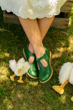 Load image into Gallery viewer, Snowy Goose Rattle