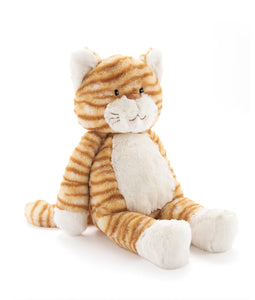 Ginger the Cat