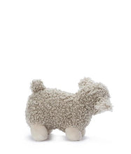 Load image into Gallery viewer, Lucy the Lamb
