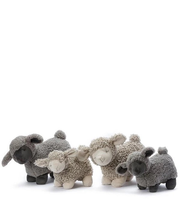 Charlotte the Sheep - Black