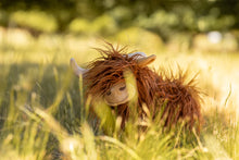 Load image into Gallery viewer, Heidi the Highland Cow
