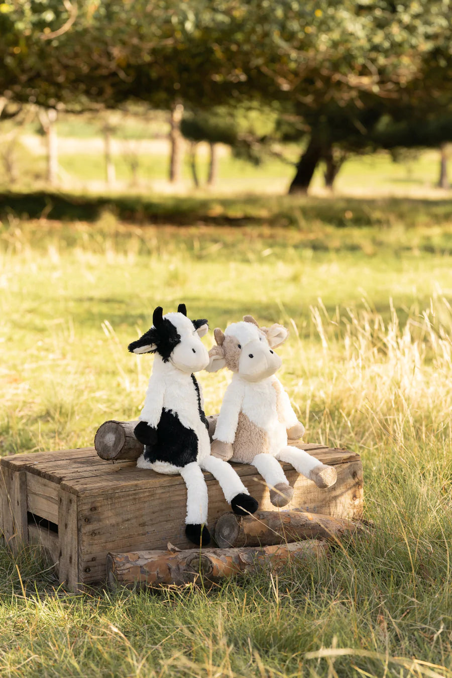 Clover the Cow - Black
